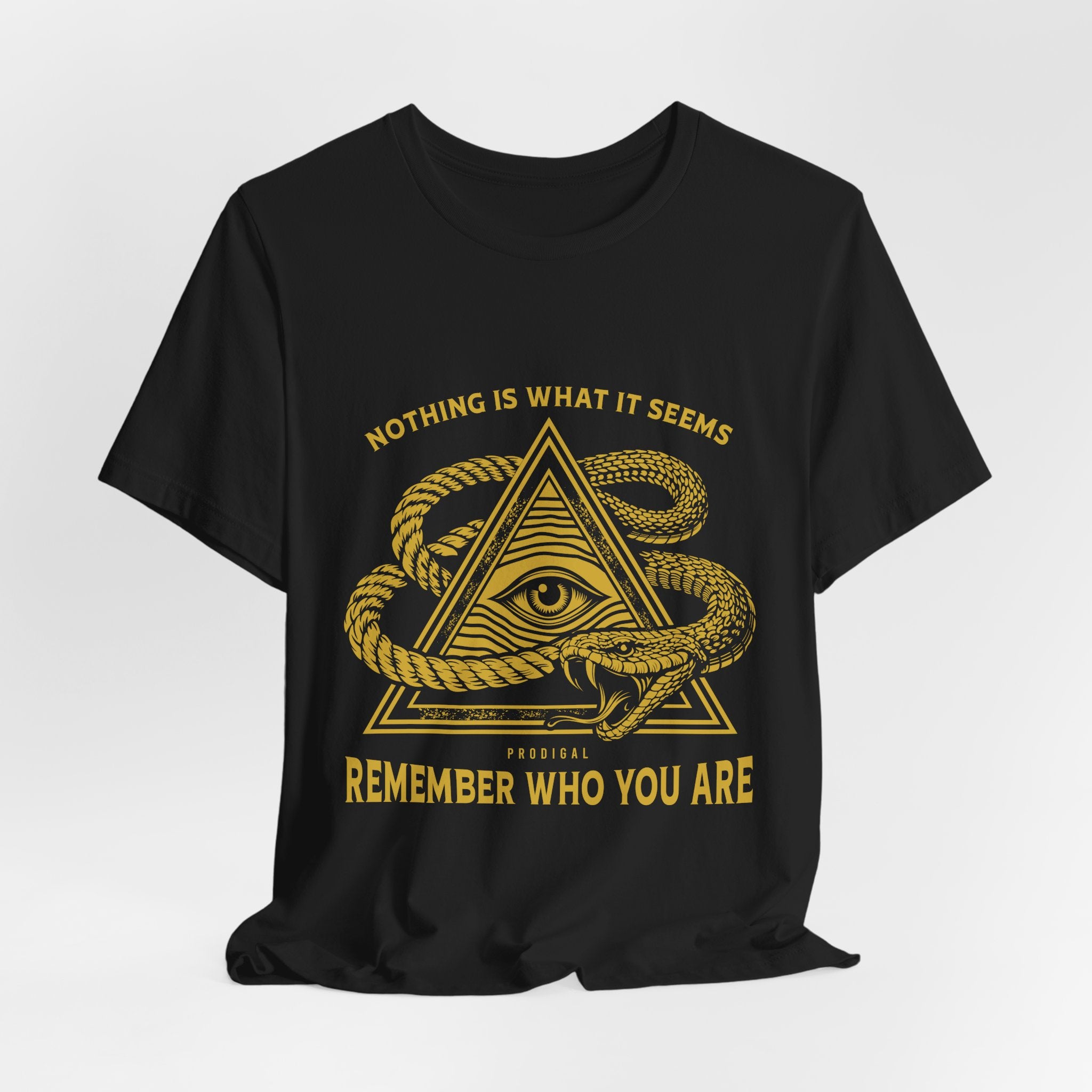 Prodigal Movement Tee — Nothing Is What It Seems